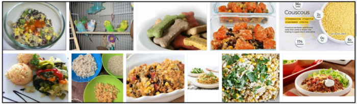 Are Birds Safe to Eat Uncooked Quinoa? Expert Insights on Avian Nutrition
