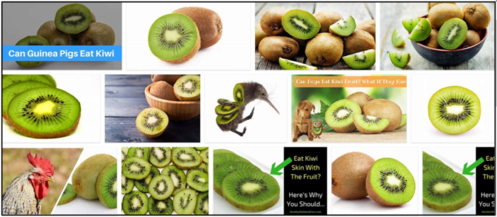 Can Birds Safely Consume Kiwi? A Comprehensive Guide to Birds and Fruits