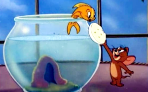 Goldfish & Their Breeds: A Comprehensive Guide to Freshwater Aquarium Fish