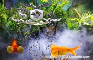 Goldfish & Their Breeds: A Comprehensive Guide to Freshwater Aquarium Fish