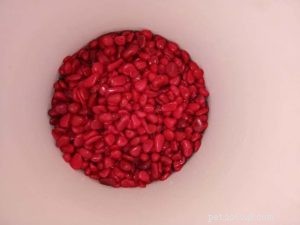 Meet the Super Red Dragon Flowerhorn – Premium Show‑Quality Fish at Kaivalaya’s Ani‑Mall