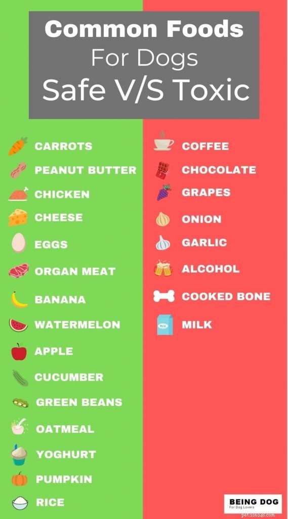 Avoid These Toxic Foods to Keep Your Dog Safe