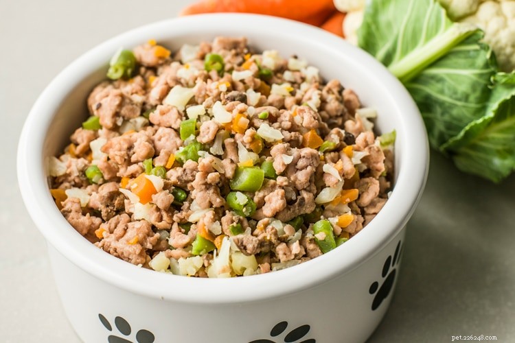 The 5 Essential Dog Food Types Every Owner Should Know
