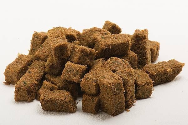 The 5 Essential Dog Food Types Every Owner Should Know