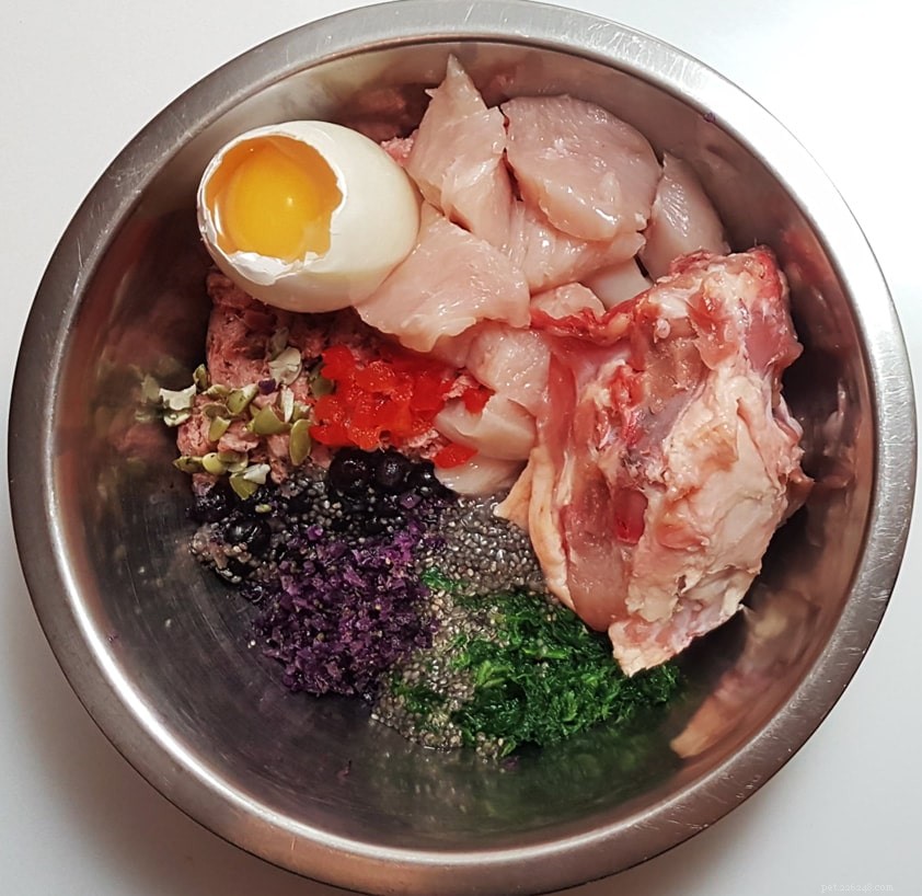 The 5 Essential Dog Food Types Every Owner Should Know
