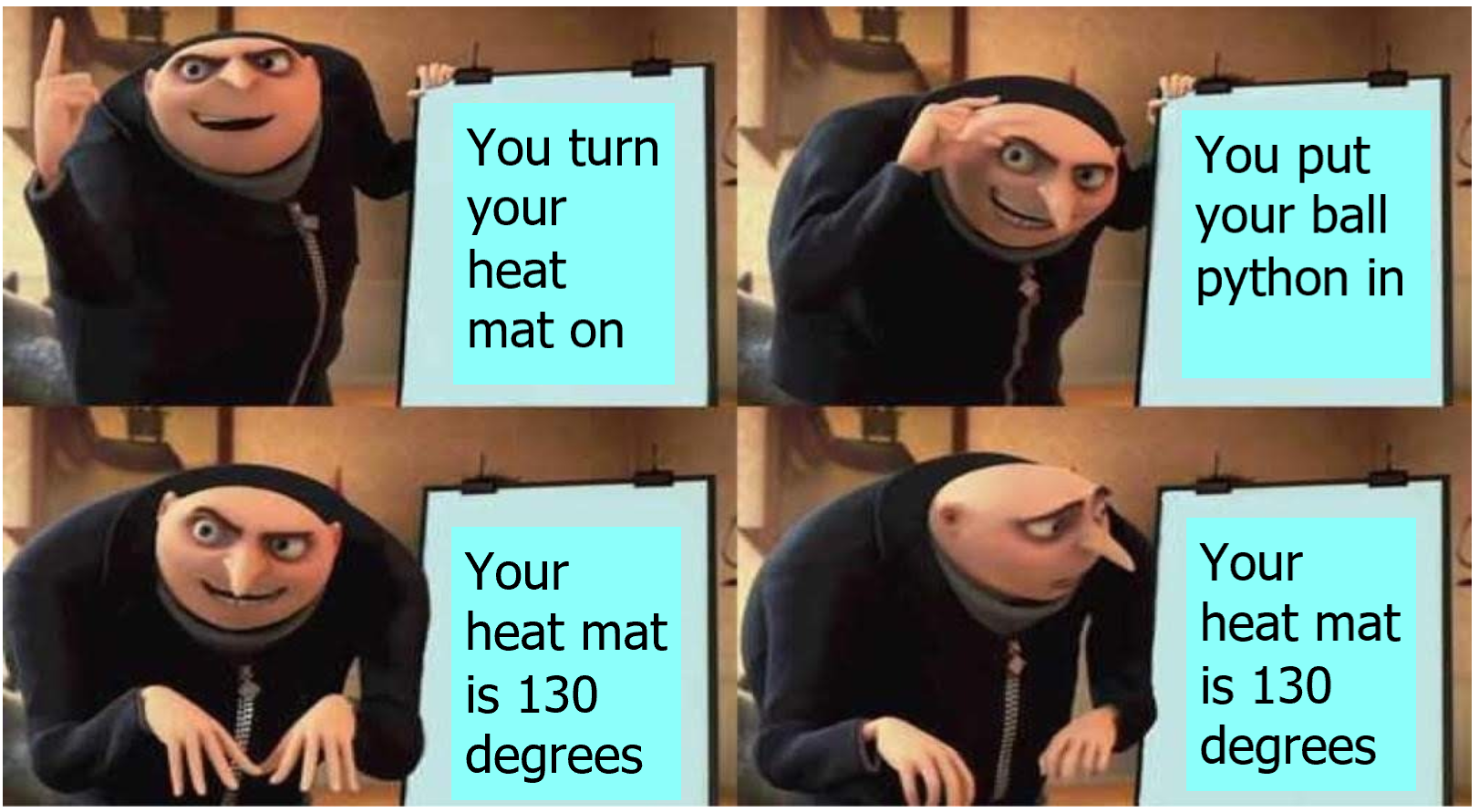 Critical Heating Tip: Never Skip the Thermostat for Your Ball Python