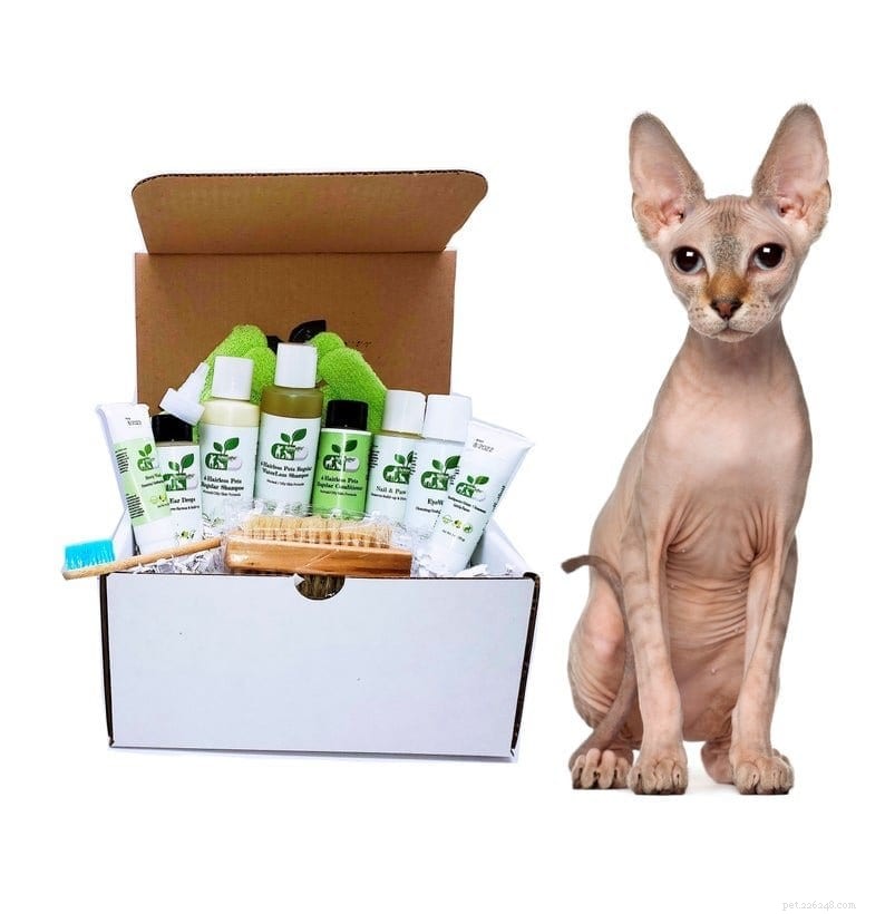 8 Must-Have Etsy Gifts for Sphynx Cat Enthusiasts