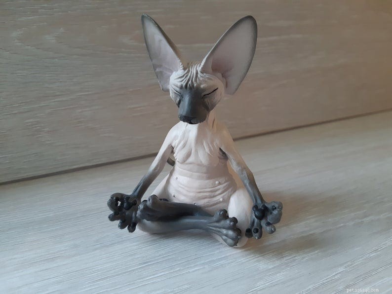 8 Must-Have Etsy Gifts for Sphynx Cat Enthusiasts