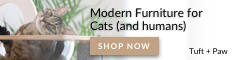 Understanding Sphynx Cat Rears: Are They Sticky?
