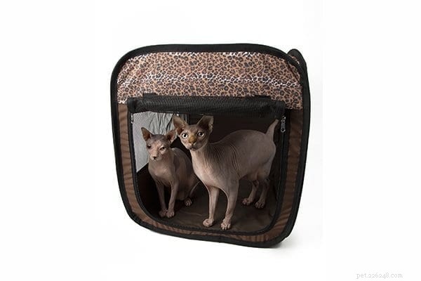 Discover Why Russian Blue Cats Are Exceptional Companions