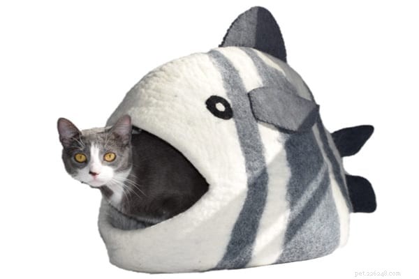 Discover Why Russian Blue Cats Are Exceptional Companions