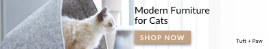 10 Essential Tips for Welcoming Your New Himalayan Cat Home