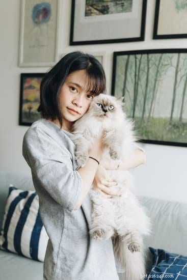 10 Essential Tips for Welcoming Your New Himalayan Cat Home
