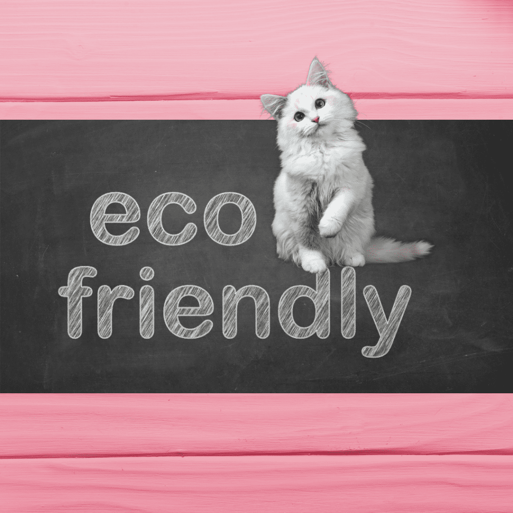 How to Live Eco‑Friendly With Your Pet: Reduce Their Carbon Pawprint