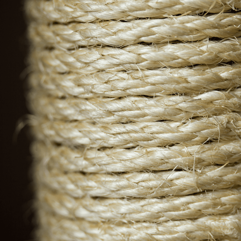The Ultimate Cat Scratching Post: Cat-Approved & Owner-Approved