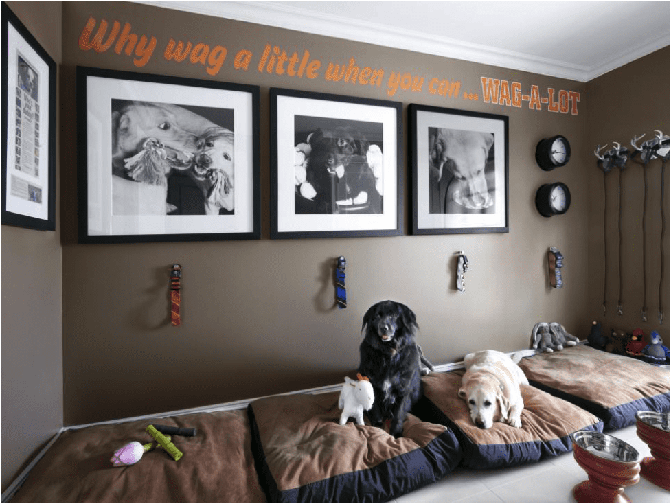 Create the Ideal Pet Nook: A Step‑by‑Step Guide for Pet Owners