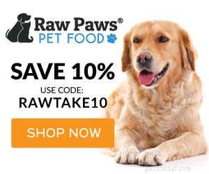 Choosing the Right Dog Walker: A Comprehensive Interview Guide