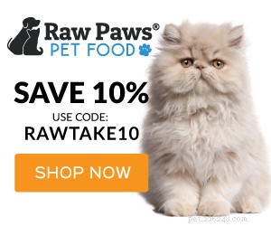 Expert Review of The Grove Cat Perch by Tuft & Paw – Premium Modern Cat Furniture