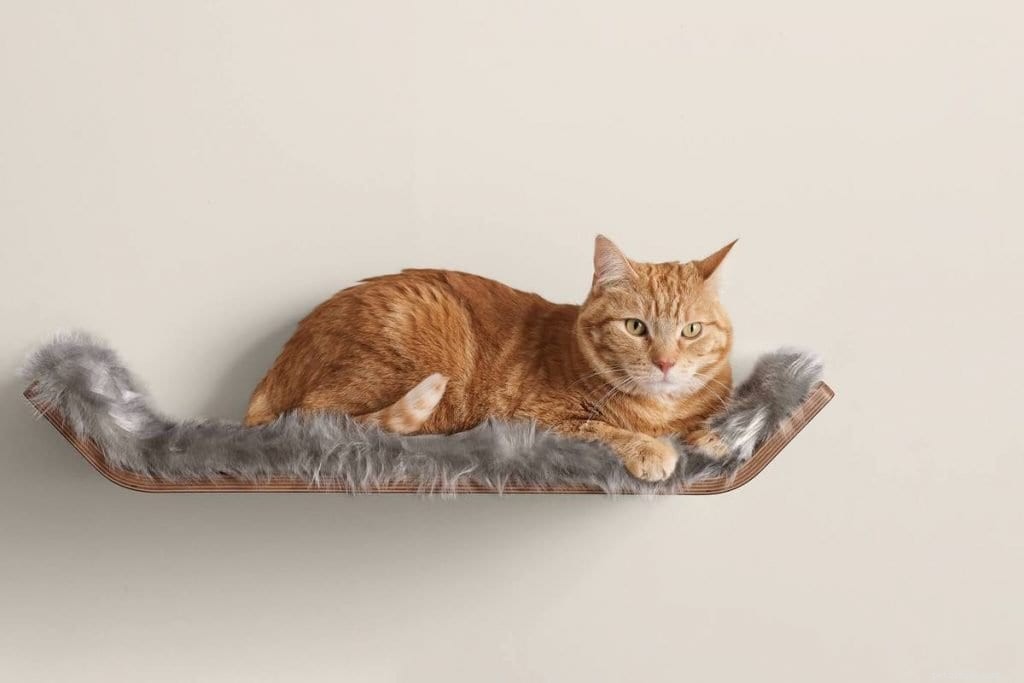10 Clever Space‑Saving Designs for Cat Owners in Compact Homes