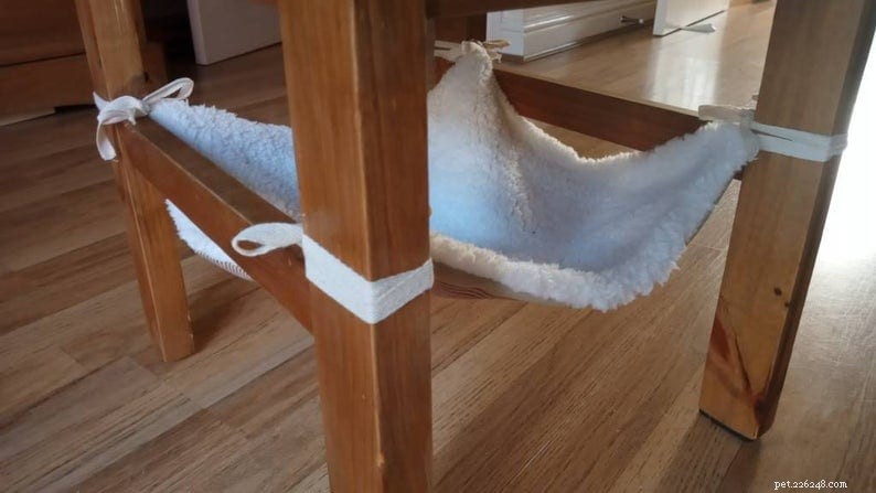 Top 7 Cat Hammocks: Comfortable, Stylish, and Safe Sleep Options for Your Feline