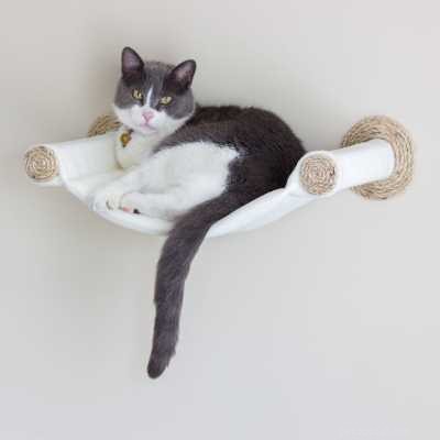 Top 7 Cat Hammocks: Comfortable, Stylish, and Safe Sleep Options for Your Feline