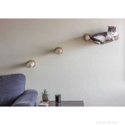 Top 7 Cat Hammocks: Comfortable, Stylish, and Safe Sleep Options for Your Feline