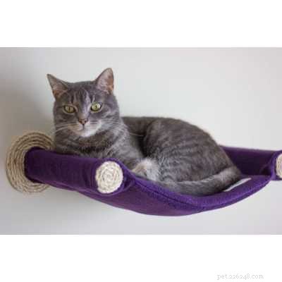 Top 7 Cat Hammocks: Comfortable, Stylish, and Safe Sleep Options for Your Feline