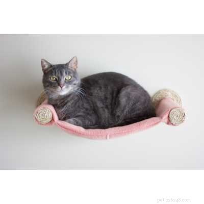 Top 7 Cat Hammocks: Comfortable, Stylish, and Safe Sleep Options for Your Feline