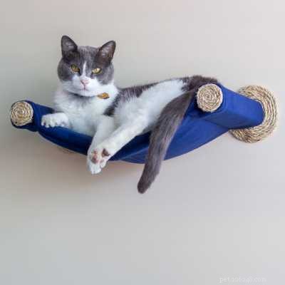 Top 7 Cat Hammocks: Comfortable, Stylish, and Safe Sleep Options for Your Feline