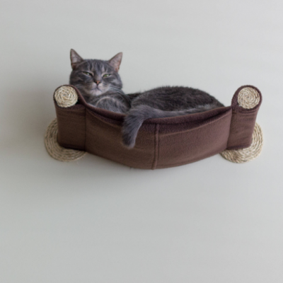 Top 7 Cat Hammocks: Comfortable, Stylish, and Safe Sleep Options for Your Feline