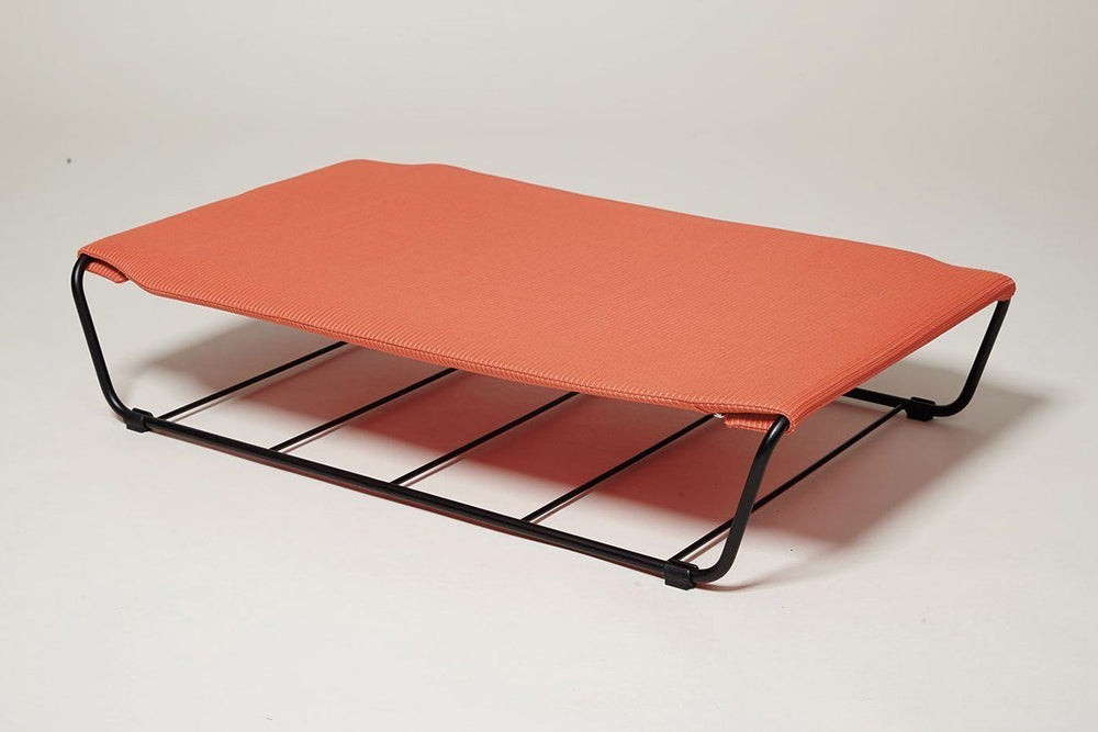 Top 7 Cat Hammocks: Comfortable, Stylish, and Safe Sleep Options for Your Feline