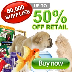 Taurine in Cat Food: Essential Benefits for Your Feline Health