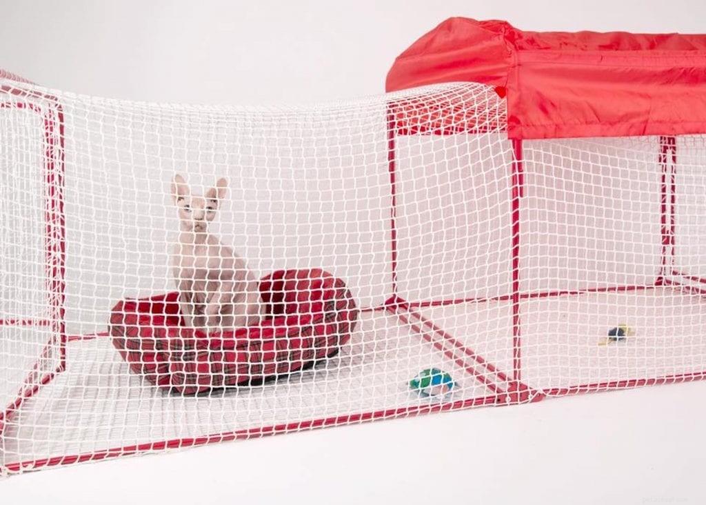 Create a Calming Cat Retreat: Reduce Stress & Anxiety in Your Feline Companion