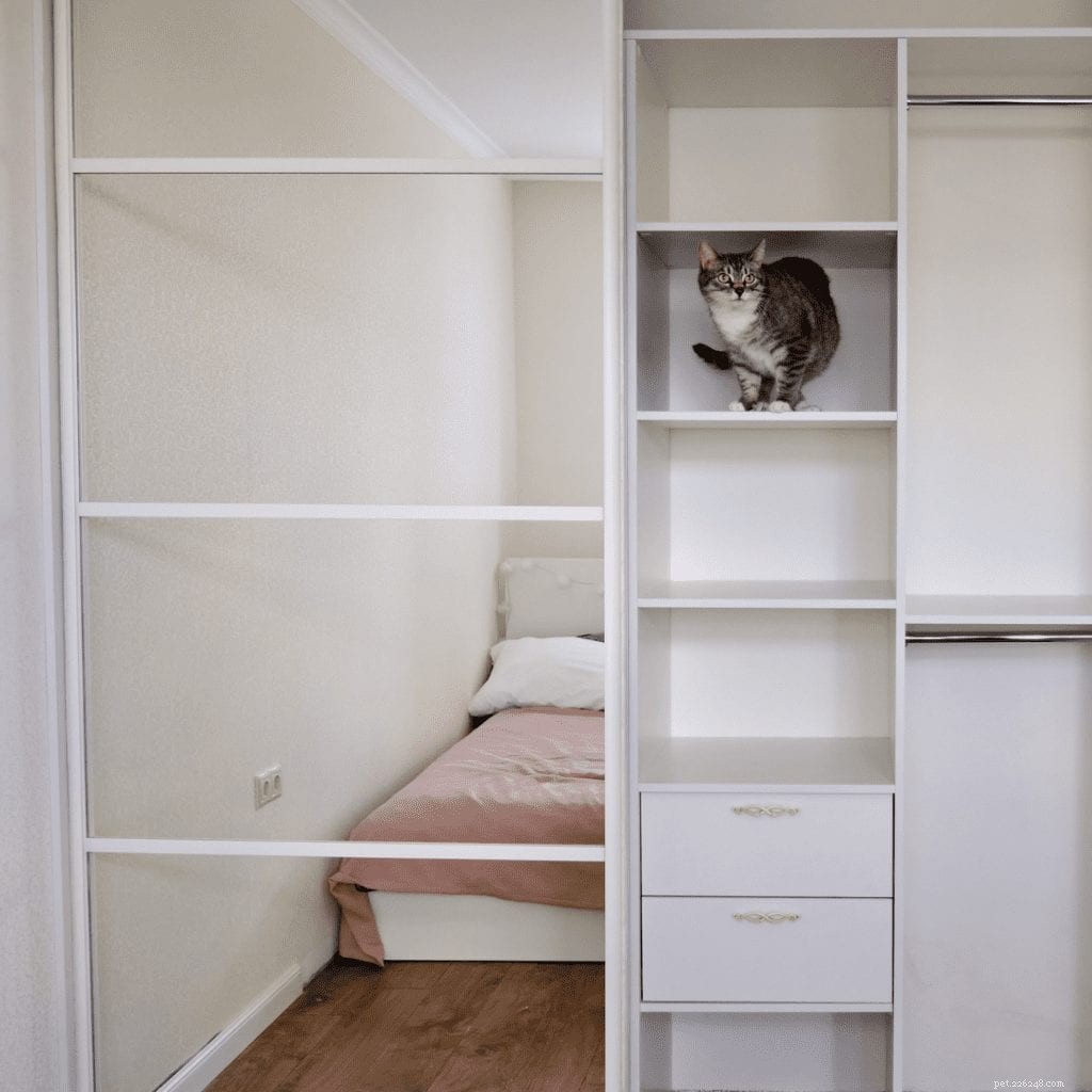 Create a Calming Cat Retreat: Reduce Stress & Anxiety in Your Feline Companion