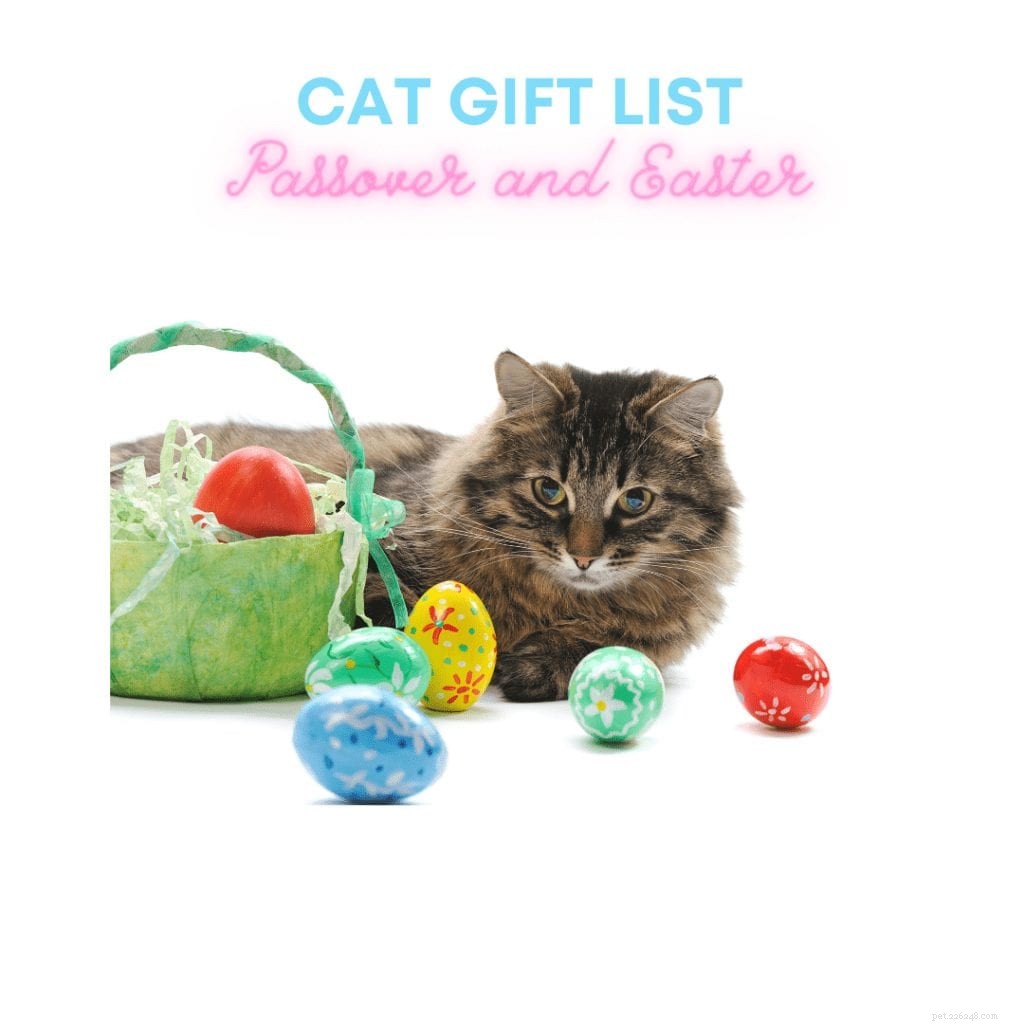 Create a Calming Cat Retreat: Reduce Stress & Anxiety in Your Feline Companion