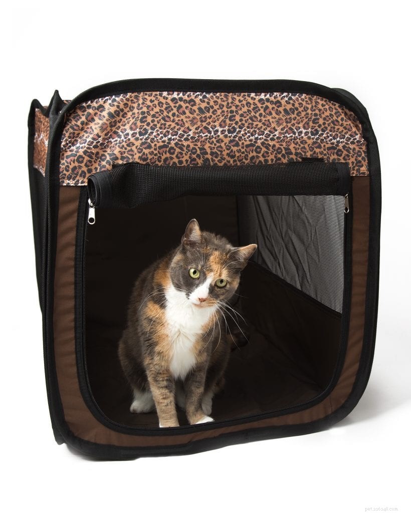 Create a Calming Cat Retreat: Reduce Stress & Anxiety in Your Feline Companion
