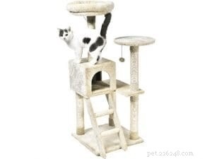 Create a Calming Cat Retreat: Reduce Stress & Anxiety in Your Feline Companion