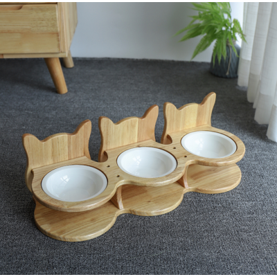 Prevent Your Cat from Eating Dog Food: Expert Tips & Solutions