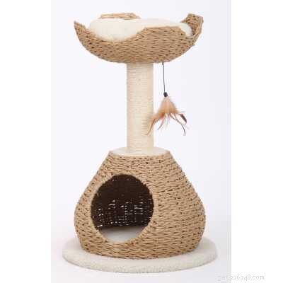 The Cat Tongue Explained: Structure, Grooming Functions, and Health Insights