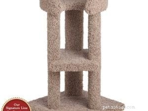 The Cat Tongue Explained: Structure, Grooming Functions, and Health Insights