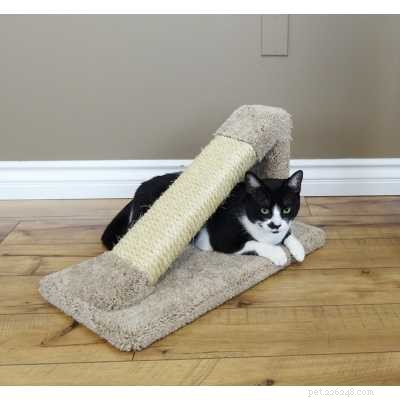 Understanding the Anatomy of a Cat s Claw