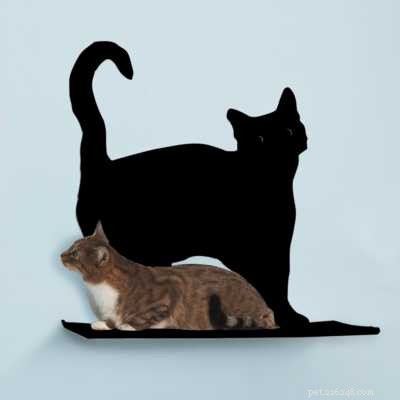 Why Cats Need Meat: The Truth About a Vegetarian Diet