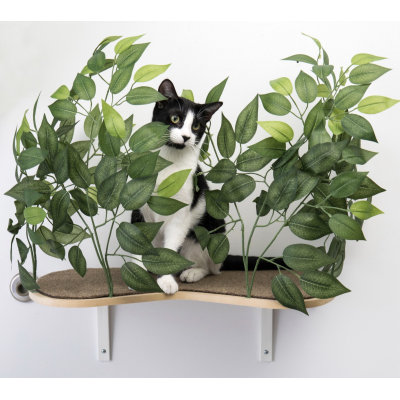 Why Cats Need Meat: The Truth About a Vegetarian Diet