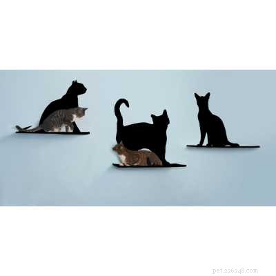 Why Cats Need Meat: The Truth About a Vegetarian Diet