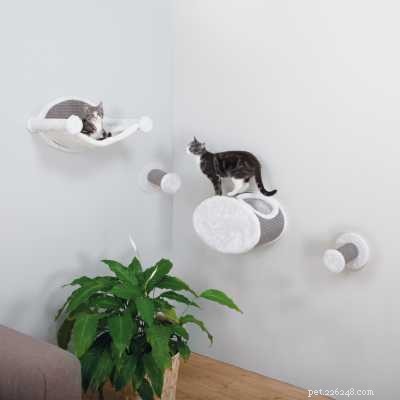 Why Cats Need Meat: The Truth About a Vegetarian Diet