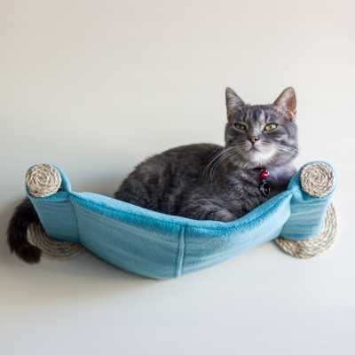 Why Cats Need Meat: The Truth About a Vegetarian Diet