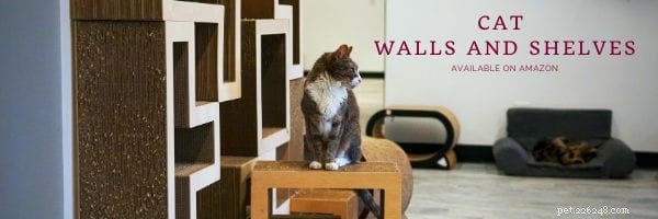 Virtual Pet Care Essentials: 5 Must-Know Tips for Cats & Dogs