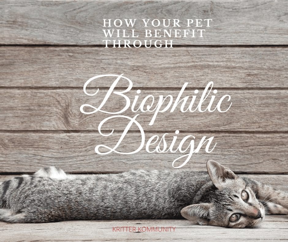 Enhancing Pet Wellness Through Biophilia‑Inspired Design