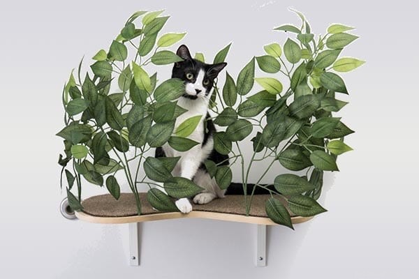 Enhancing Pet Wellness Through Biophilia‑Inspired Design