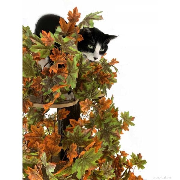 Enhancing Pet Wellness Through Biophilia‑Inspired Design